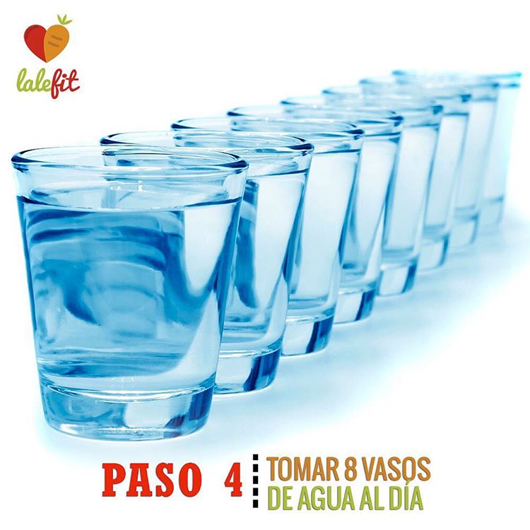 Tomar 8 vasos de agua bien repartidos en el día